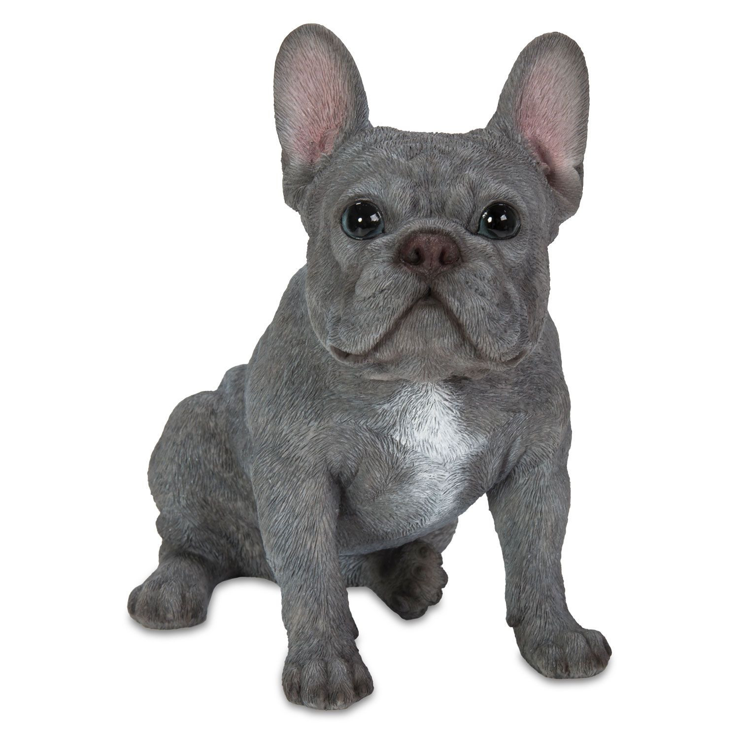 french-bulldog